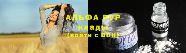 прущие грибы Балабаново