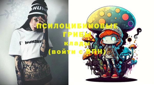прущие грибы Балабаново