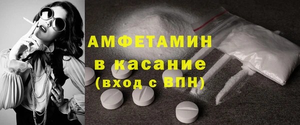 прущие грибы Балабаново