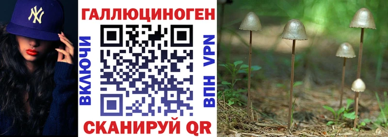 Галлюциногенные грибы Psilocybe  гидра онион  Красноуральск 